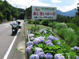 あじさいロード