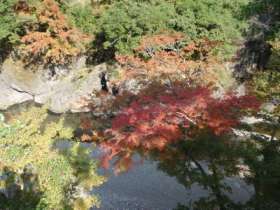 四季美谷温泉の紅葉