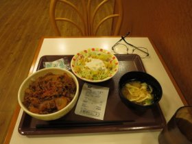 晩飯は牛丼