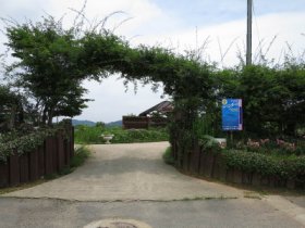 香山ラベンダーの丘３