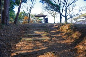 カブなら楽勝