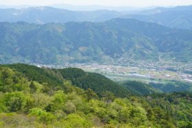 勝浦の町が見えます