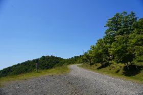 徳島のヘソ