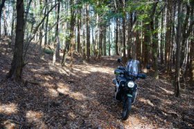 オフ車限定か？