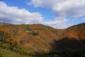 国道４３８号線沿いは…