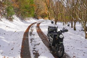 どこまで雪か…？