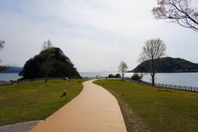 広い公園