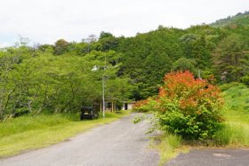 公園には