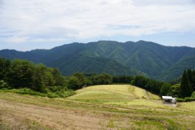 展望は…