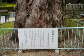 県の指定天然記念物