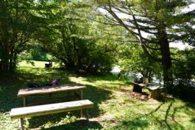 朽ちかけた公園ですが