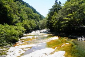 面河渓