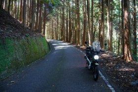 途中の道は…