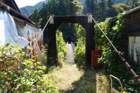 南宇の吊り橋(12)
