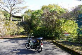柳瀬公園