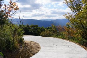 舗装された(ﾟДﾟ)