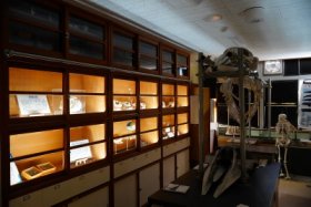 理科室の準備室