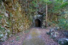 旧魚梁瀬森林鉄道施設 オオムカエ隧道