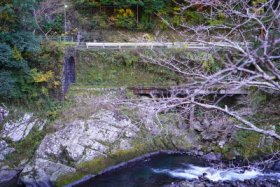 ココから見えるのか…