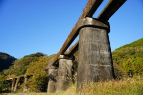 下から見上げてみると