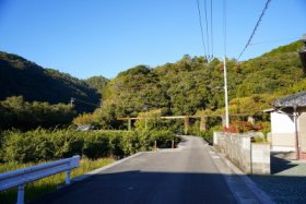 引いて見ると…