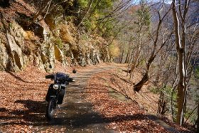 紅葉の名残か…