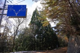 帰りは井川へ…