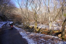 すっかりアドベンチャー