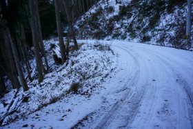 まだまだ通過可能…(ﾟДﾟ)