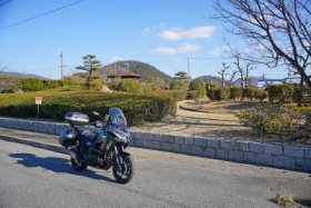 みなと林田緑地