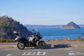 拡大してみます