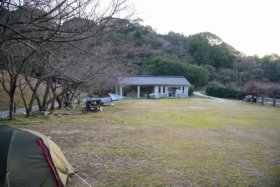 今日はガラガラ