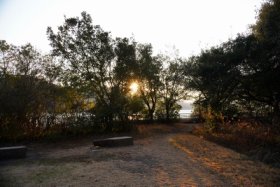 南西が見えます